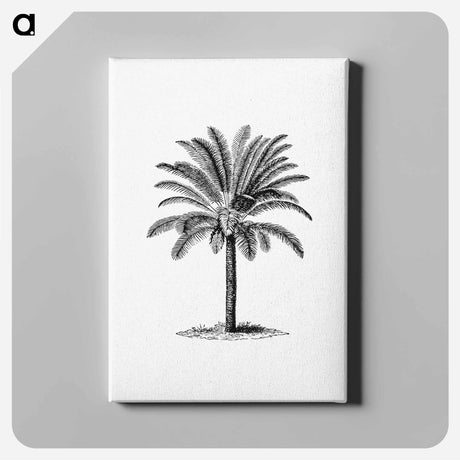 アートパネル-Tropical Tree
 - 大英図書館 Canvas.
