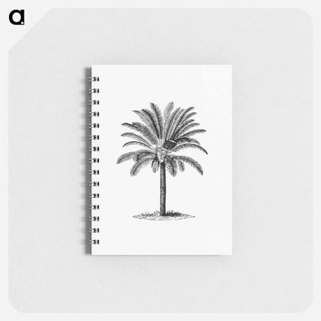 アートメモ帳-Tropical Tree
 - 大英図書館 Memo.