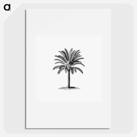 アートポスター-Tropical Tree
 - 大英図書館 Poster.