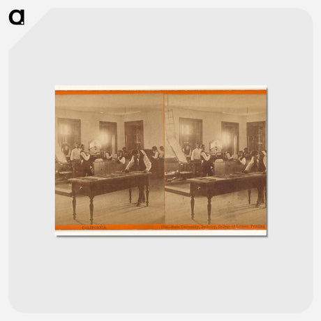 アートポストカード-California State University, Berkeley
 - エドワード マイブリッジ Postcard.