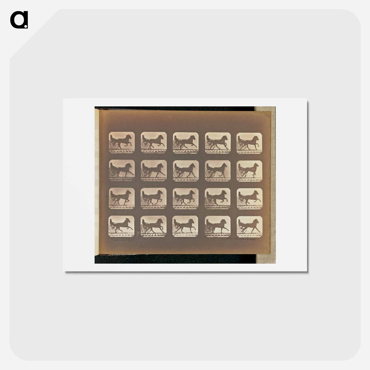 アートポストカード-Irregular Gait
 - エドワード マイブリッジ Postcard.