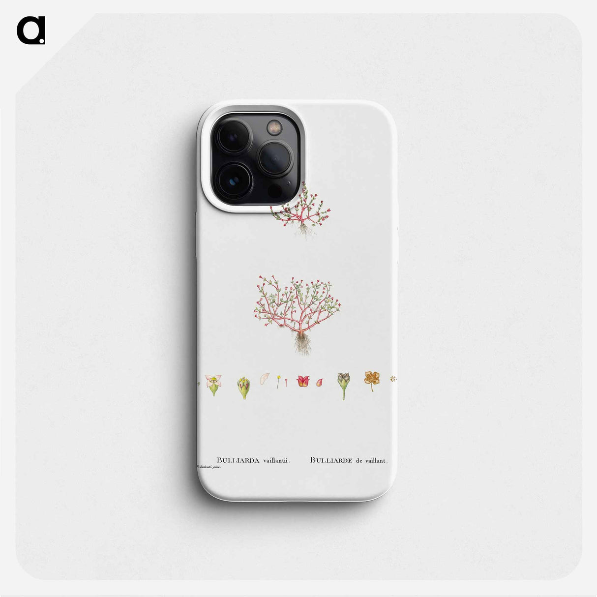 Bulliards Vaillantii - Pierre Joseph Redouté Phone Case.