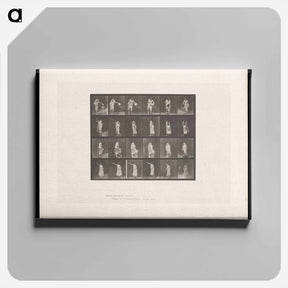アートパネル-Woman in Motion
 - エドワード マイブリッジ Canvas.