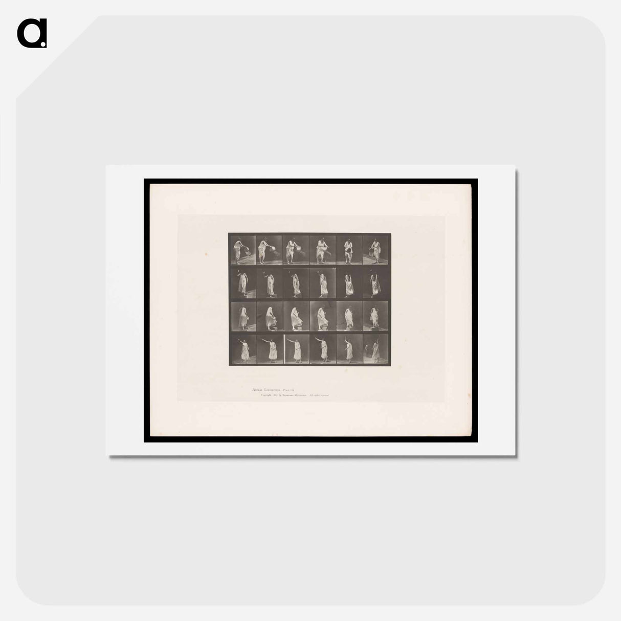 アートポストカード-Woman in Motion
 - エドワード マイブリッジ Postcard.