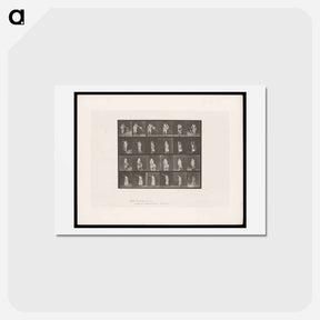 アートポストカード-Woman in Motion
 - エドワード マイブリッジ Postcard.