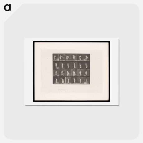 アートポストカード-Woman in Motion
 - エドワード マイブリッジ Postcard.