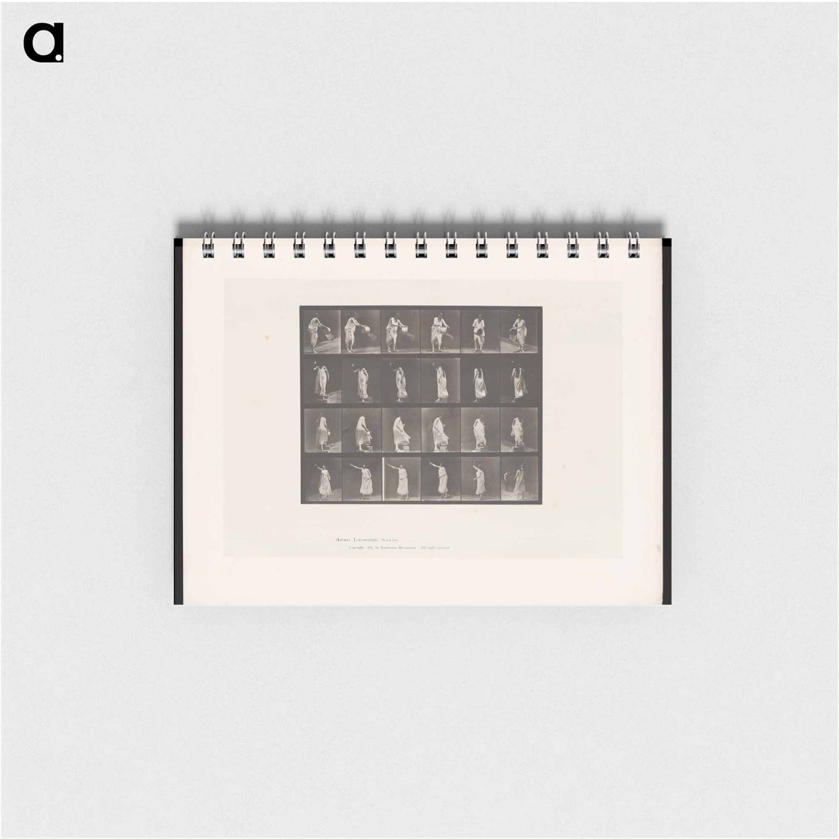 アートメモ帳-Woman in Motion
 - エドワード マイブリッジ Memo.