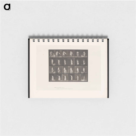 アートメモ帳-Woman in Motion
 - エドワード マイブリッジ Memo.