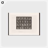 アートポストカード-Woman in Motion
 - エドワード マイブリッジ Postcard.