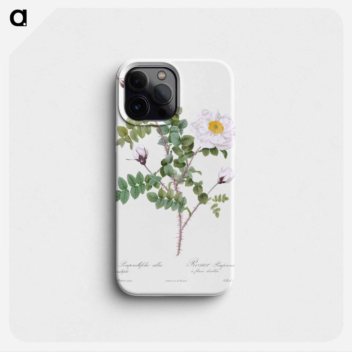 Double White Burnet Rose - Pierre Joseph Redouté Phone Case.