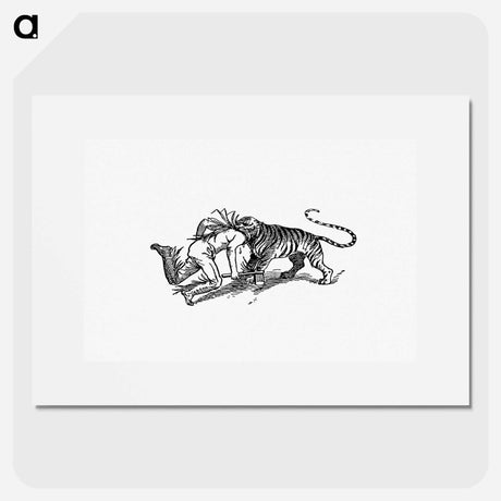 アートポスター-Indian Tiger Attacking a Man
 - 大英図書館 Poster.