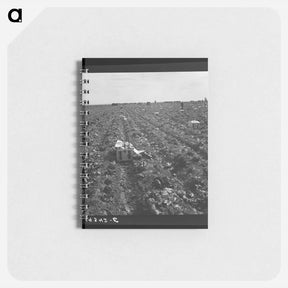 アートメモ帳-Untitled photo - ドロテア ラング Memo.