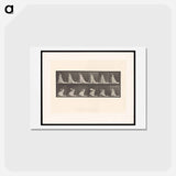 アートポストカード-Woman with Chair and Fan
 - エドワード マイブリッジ Postcard.