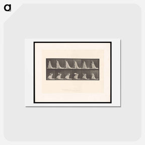 アートポストカード-Woman with Chair and Fan
 - エドワード マイブリッジ Postcard.