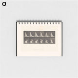 アートメモ帳-Woman with Chair and Fan
 - エドワード マイブリッジ Memo.