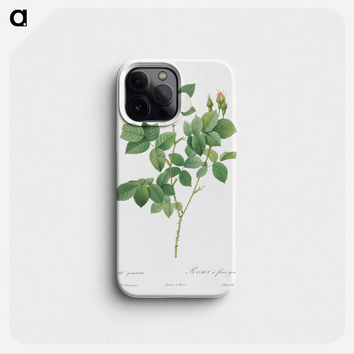 Twin-Flowered White Rose - Pierre Joseph Redouté Phone Case.