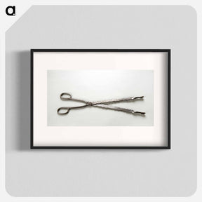 アートポスター-Tongs
 - バーンズ・コレクション Poster.