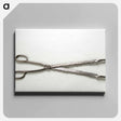 アートパネル-Tongs
 - バーンズ・コレクション Canvas.
