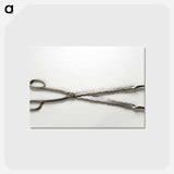 アートポストカード-Tongs
 - バーンズ・コレクション Postcard.