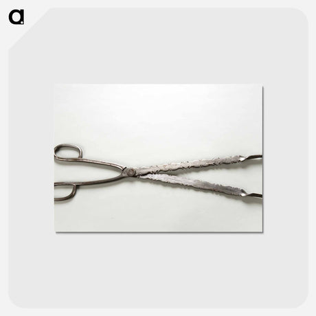 アートポストカード-Tongs
 - バーンズ・コレクション Postcard.