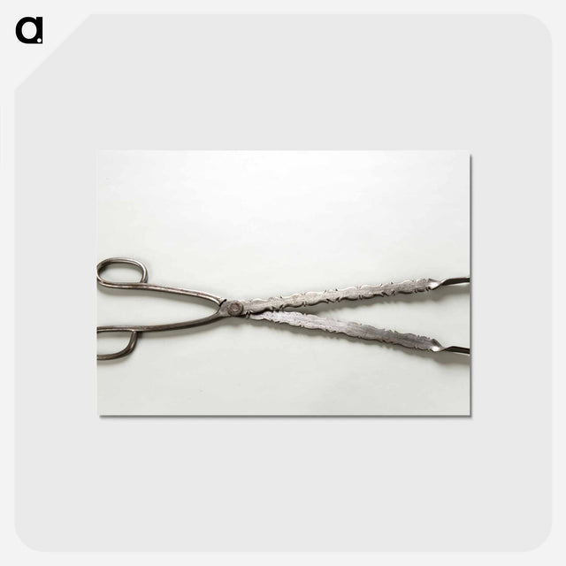アートポストカード-Tongs
 - バーンズ・コレクション Postcard.