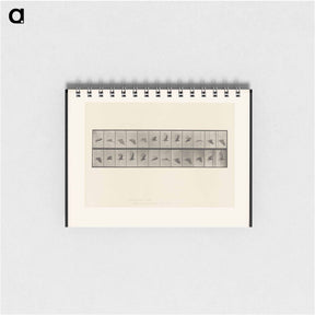 アートメモ帳-Vulture in Flight
 - エドワード マイブリッジ Memo.