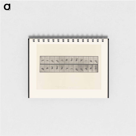 アートメモ帳-Vulture in Flight
 - エドワード マイブリッジ Memo.