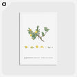 アートポストカード-Mesembryanthemum Echinatum (Pickle Plant) - ピエール ジョゼフ ルドゥーテ Postcard.