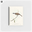 アートメモ帳-Silvery-crowned Friar Bird
 - オーストラリアの鳥 Memo.