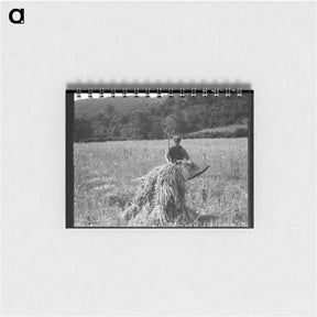 アートメモ帳-Untitled photo - ドロテア ラング Memo.