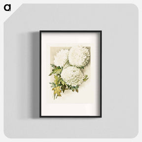 アートポスター-Chrysanthemums for Christmas Eve
 - ボストン公共図書館 Poster.
