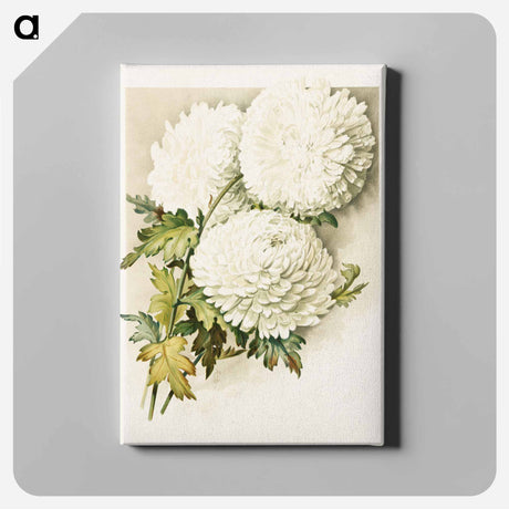 アートパネル-Chrysanthemums for Christmas Eve
 - ボストン公共図書館 Canvas.