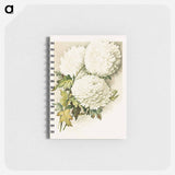 アートメモ帳-Chrysanthemums for Christmas Eve
 - ボストン公共図書館 Memo.