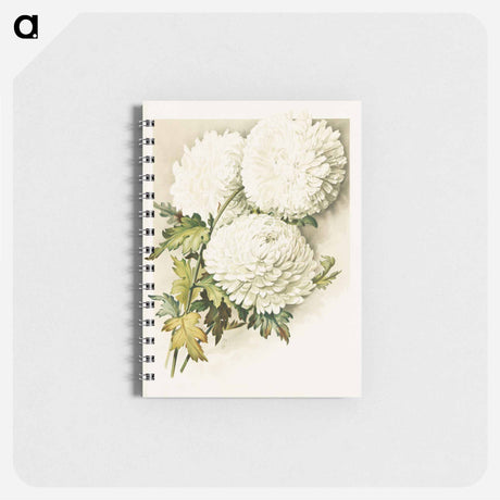 アートメモ帳-Chrysanthemums for Christmas Eve
 - ボストン公共図書館 Memo.