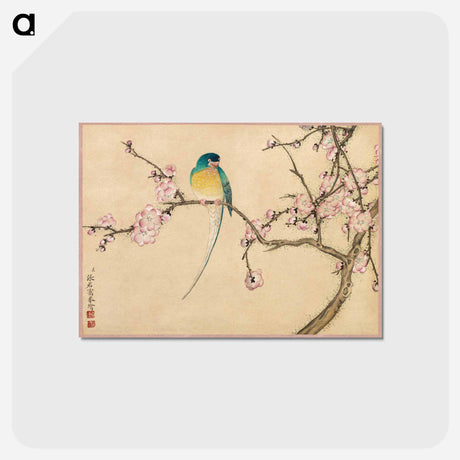 アートポストカード-Bird with Plum Blossoms
 - クリーブランド美術館 Postcard.