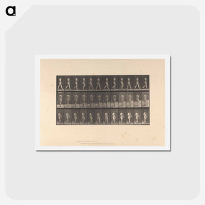アートポストカード-Naked Woman Walking
 - エドワード マイブリッジ Postcard.
