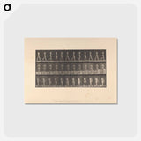 アートポストカード-Naked Woman Walking
 - エドワード マイブリッジ Postcard.