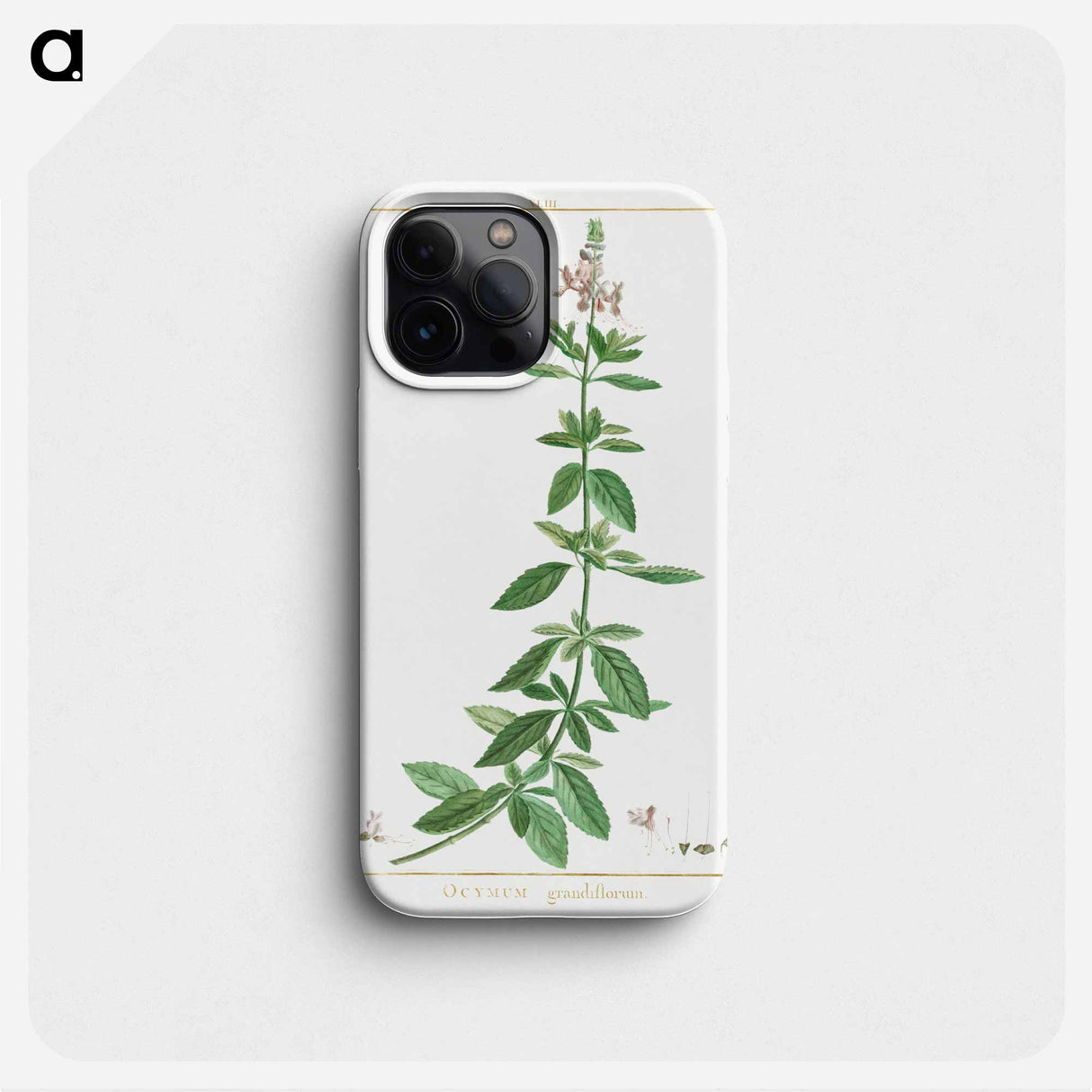 Ocimum Grandiflorum - ピエール ジョゼフ ルドゥーテ Phone Case.