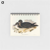 アートメモ帳-Wedge-tailed Petrel
 - オーストラリアの鳥 Memo.