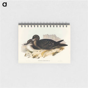 アートメモ帳-Wedge-tailed Petrel
 - オーストラリアの鳥 Memo.