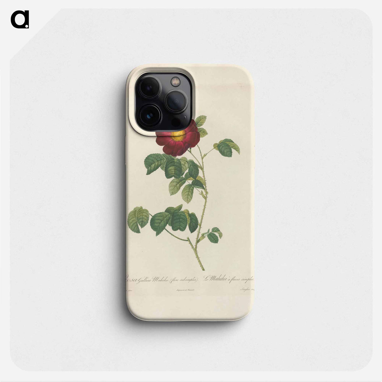 Rose illustration - ピエール ジョゼフ ルドゥーテ Phone Case.