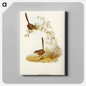 アートパネル-Textile Wren
 - オーストラリアの鳥 Canvas.