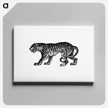 アートパネル-Tiger from The Chronicles of the St. Lawrence
 - 大英図書館 Canvas.