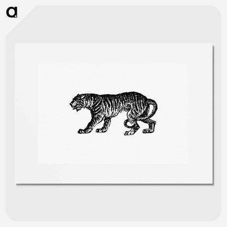 アートポスター-Tiger from The Chronicles of the St. Lawrence
 - 大英図書館 Poster.