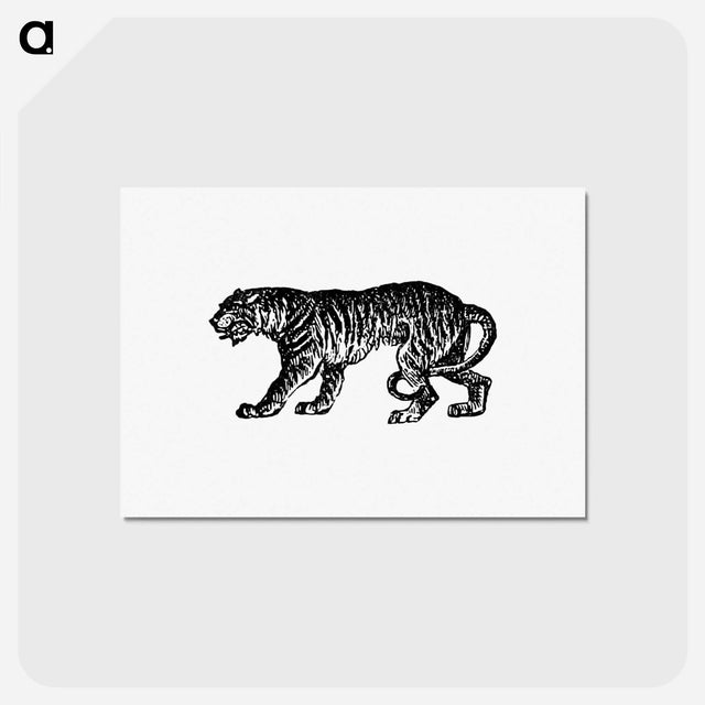 アートポストカード-Tiger from The Chronicles of the St. Lawrence
 - 大英図書館 Postcard.