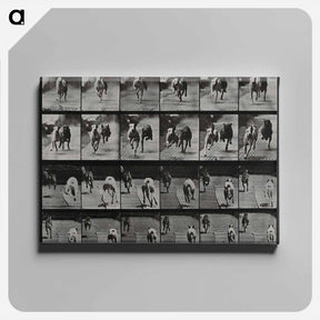アートパネル-Racing Dogs
 - エドワード マイブリッジ Canvas.
