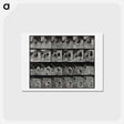 アートポストカード-Racing Dogs
 - エドワード マイブリッジ Postcard.
