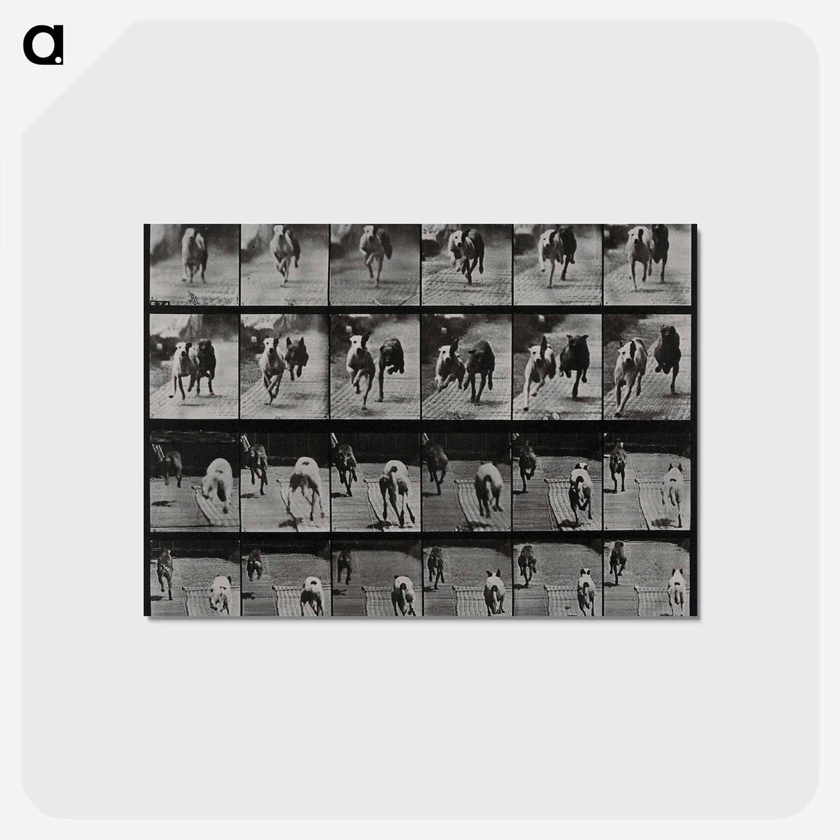 アートポストカード-Racing Dogs
 - エドワード マイブリッジ Postcard.