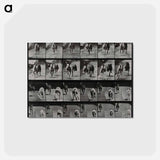 アートポストカード-Racing Dogs
 - エドワード マイブリッジ Postcard.