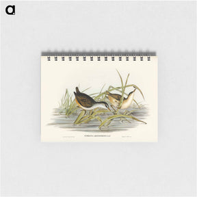 アートメモ帳-White-eyebrowed Water Crake
 - ジョン グールド Memo.